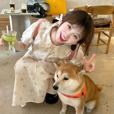 送子鸟